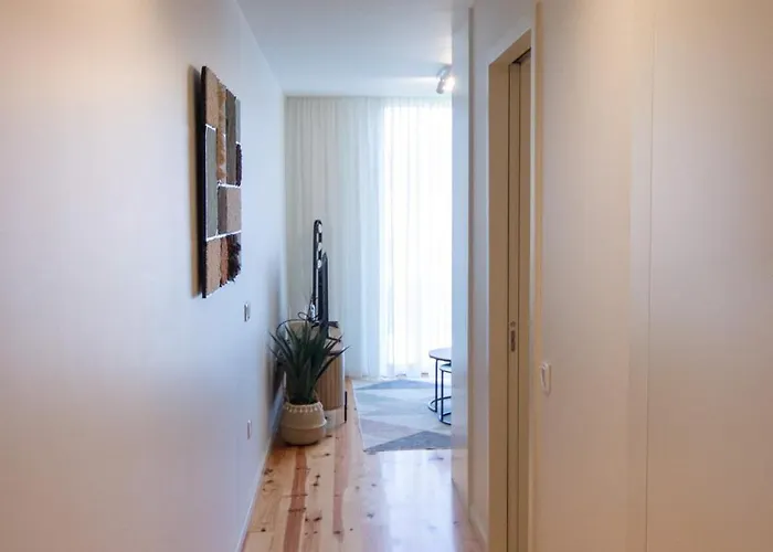 Orm - Cedofeita Ii *